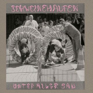 Das Cover zeigt eine öffentliche Veranstaltung bei der ein Mann einen Wettlauf gegen ein Wildschwein bestreitet. Über dem Bild steht in rosa Buchstaben »Schweinehaufen« und darunter in ebenfalls rosa Buchstaben »Unter aller Sau«.